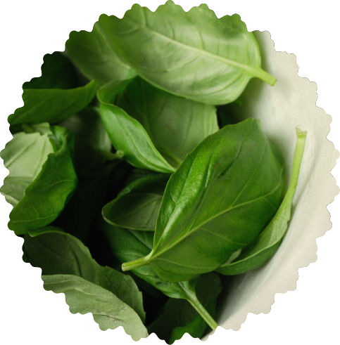 ingredienti per il pesto